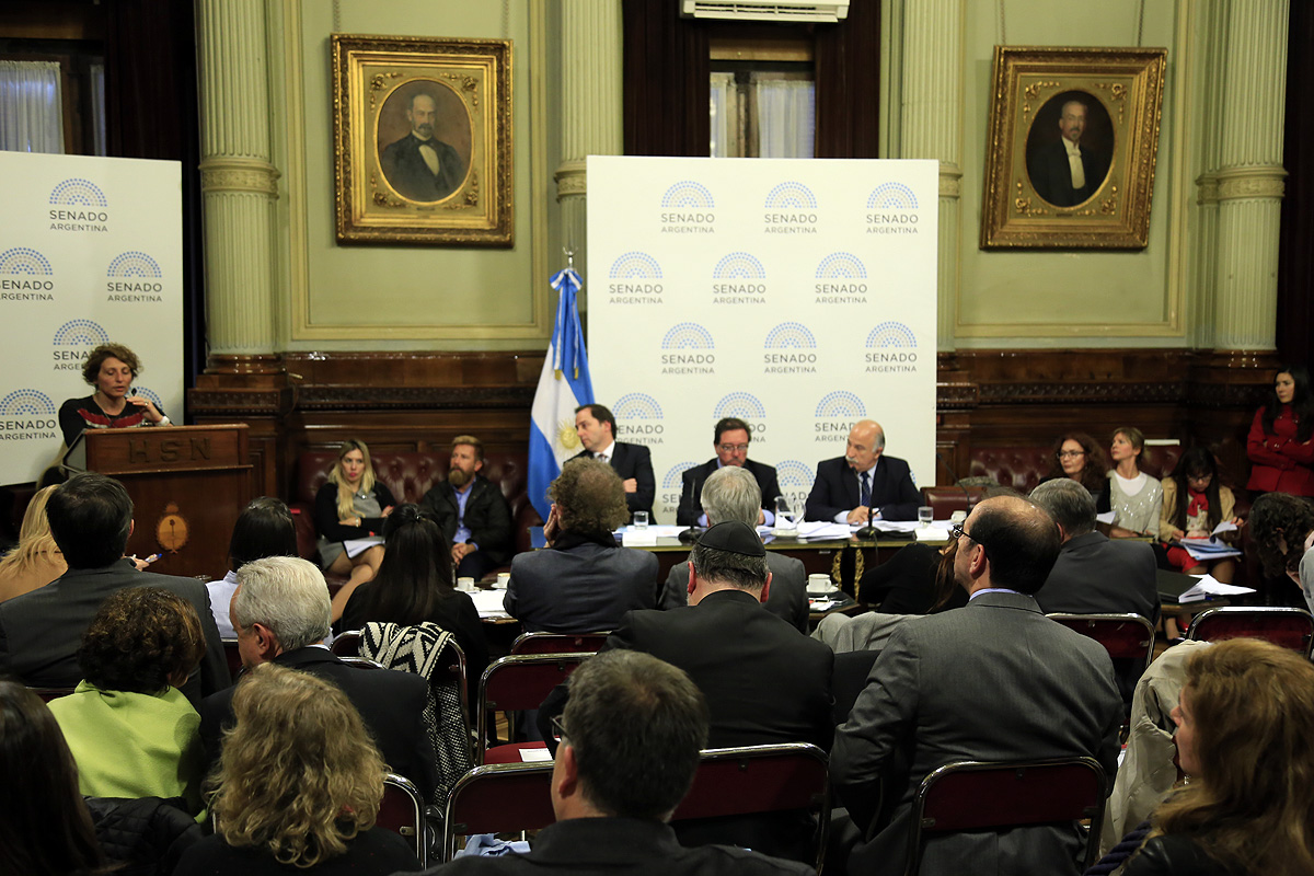 Aborto: médicos y religiosos se enfrentaron en la primera jornada de exposiciones en el Senado