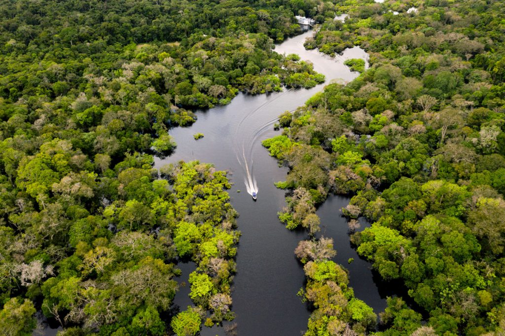 amazonas