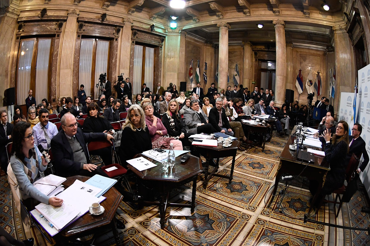 Senadores cuestionaron a expositores defensores de la ley