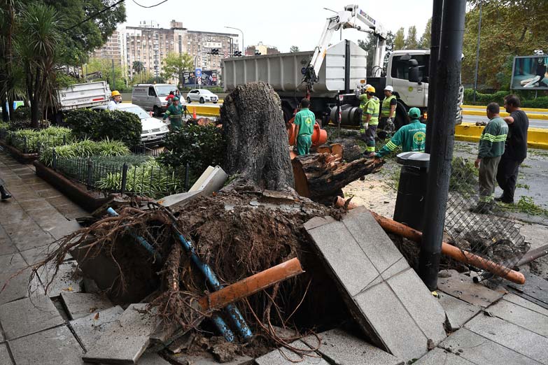 Demoras en subte, árboles caídos y derrumbe en una obra por la lluvia