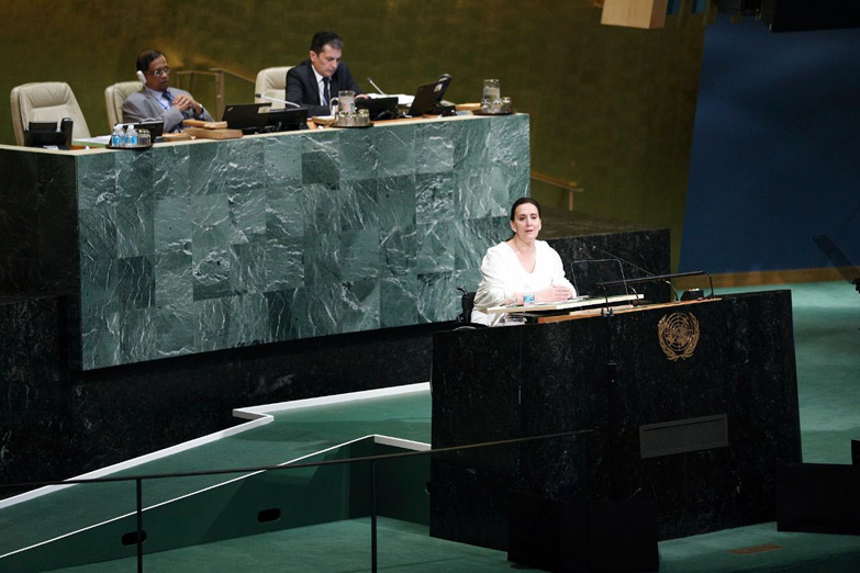 Michetti llamó al Reino Unido a entablar negociaciones por Malvinas