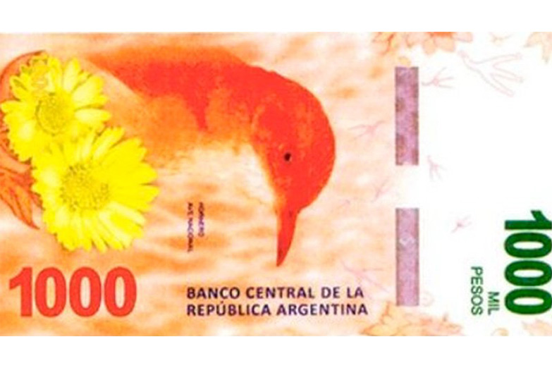 Entra en circulación el billete de $1.000, con la imagen de un hornero