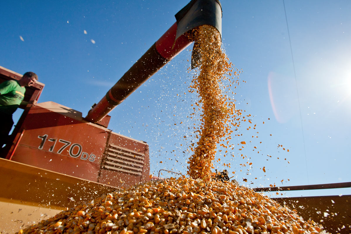 Precios de alimentos suben en julio tras retirada rusa del acuerdo de granos