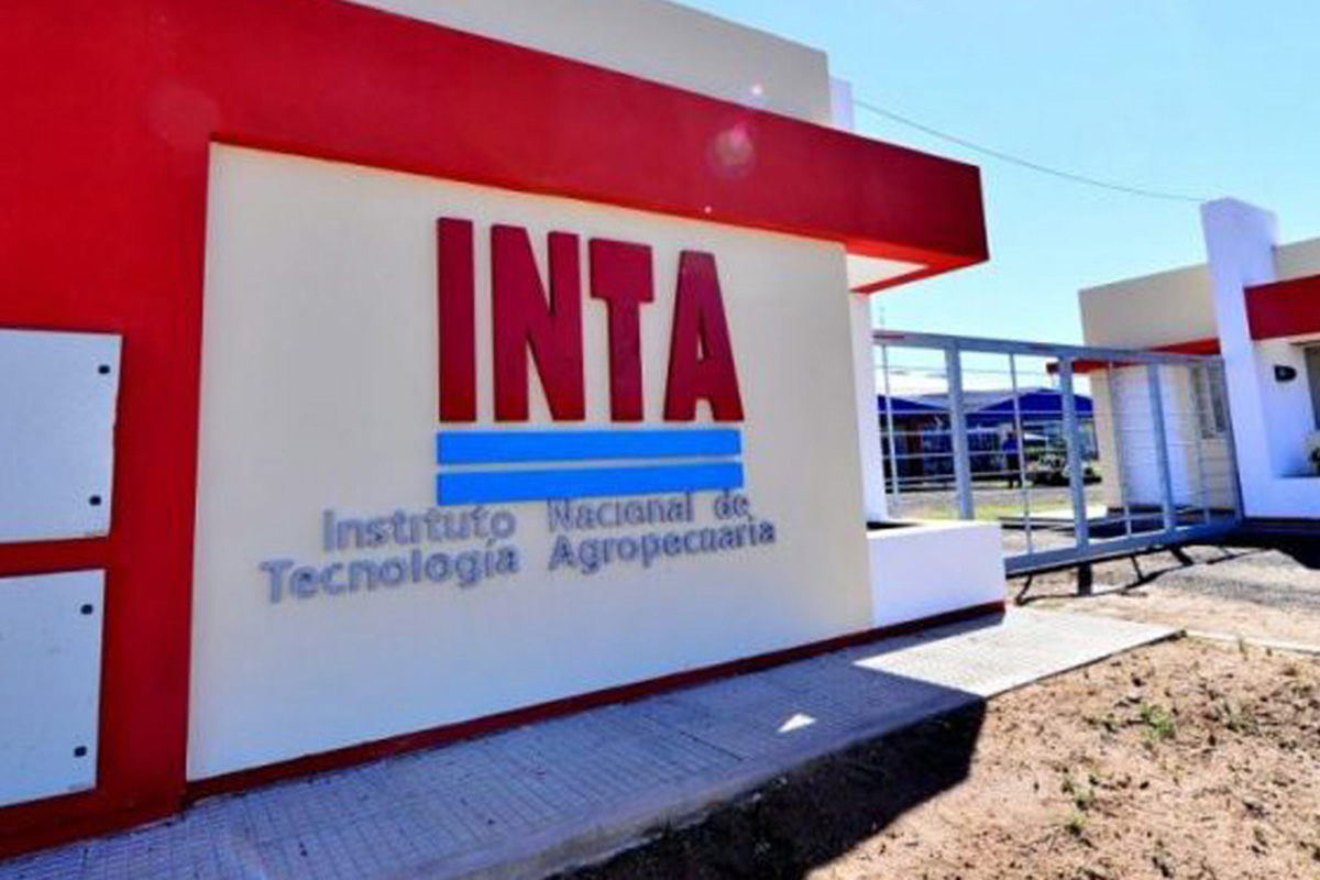 Trabajadores del INTA denuncian censura: el gobierno prohíbe palabras y conceptos