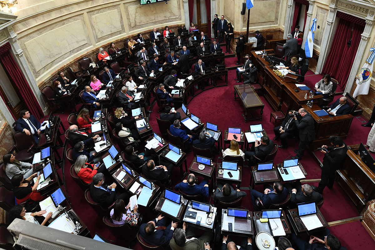 El Senado debate el fondo para pagar la deuda al FMI