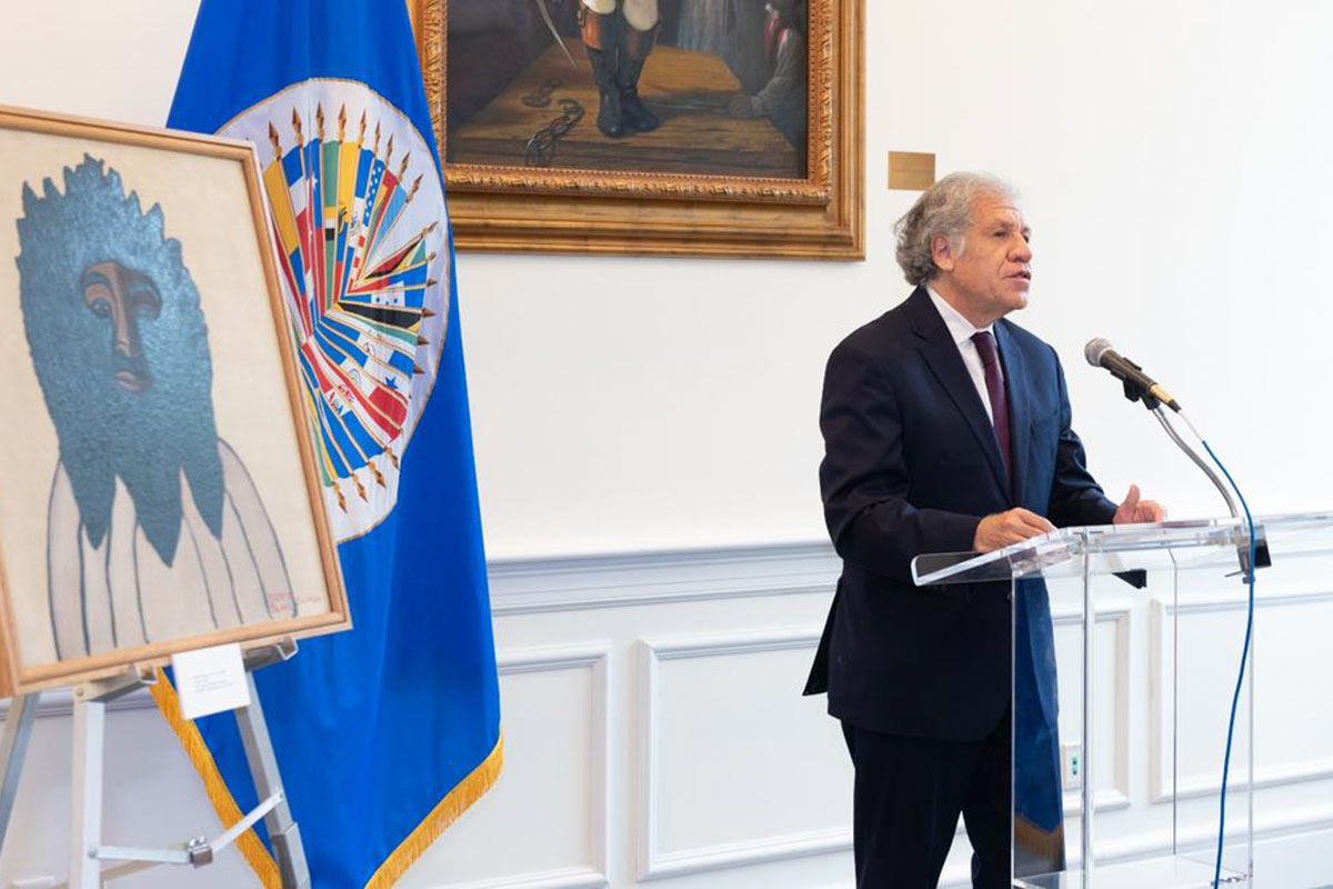 La OEA, sospechada de complicidad en el golpe a Evo, ahora se pronunció a favor de la democracia