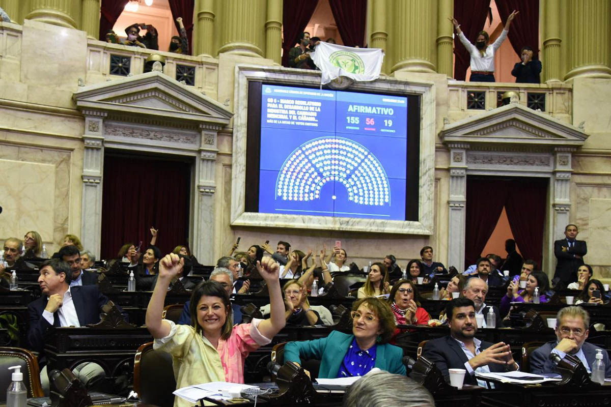 Diputados aprobó proyectos para incentivar la construcción, de respuesta integral al VIH y cannabis medicinal