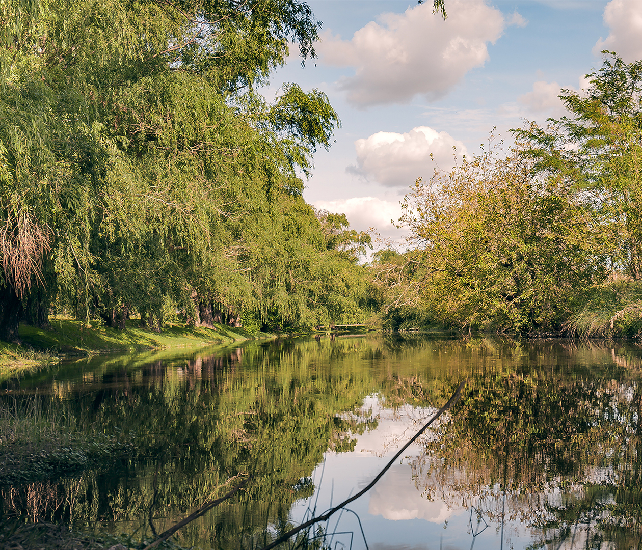 Naturaleza, historia y gastronomía en Berisso y Tapalqué