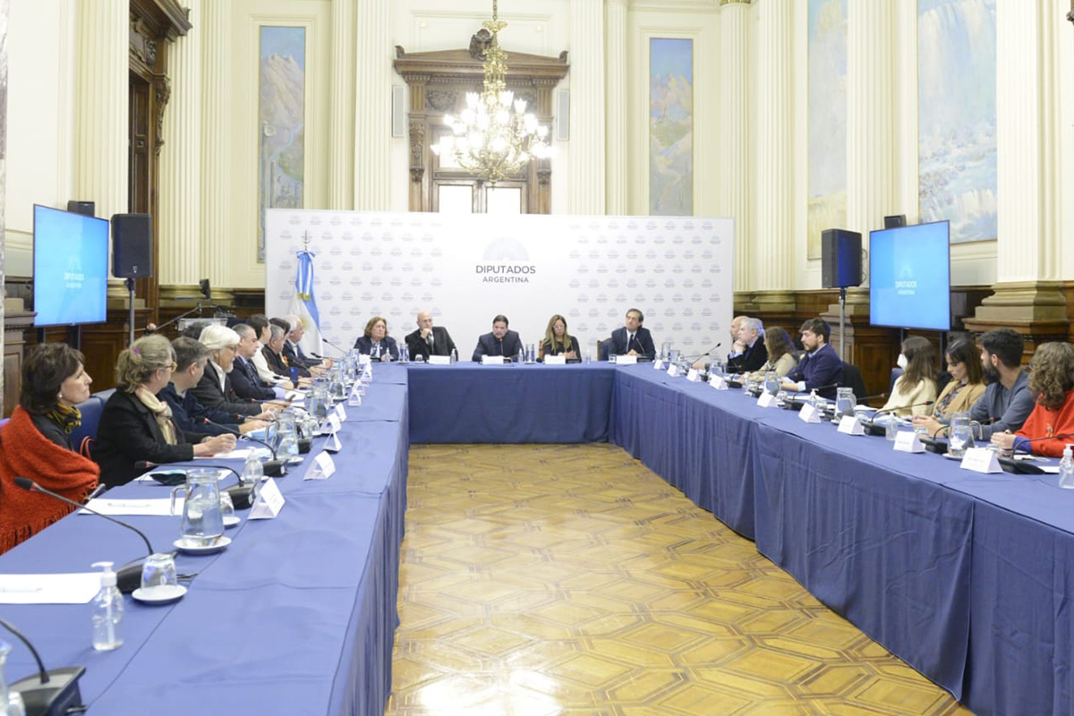 Con invitados, comenzó el debate sobre el proyecto de Alcohol Cero al Volante