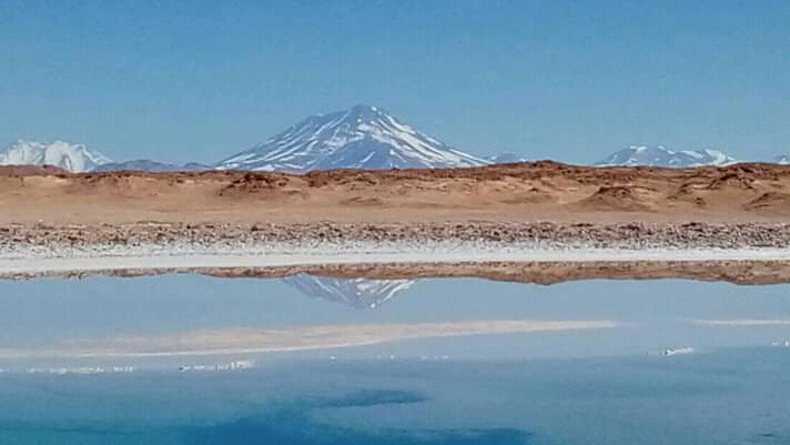 Estromatolitos en Tolar Grande: una aventura para descubrir el principio de la vida