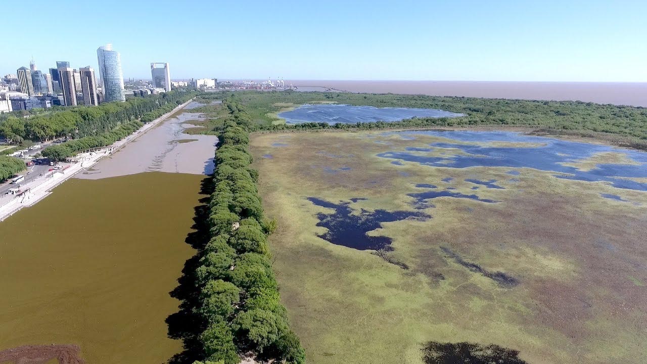 El gobierno porteño avanza con la privatización de la Reserva Ecológica Costanera Sur