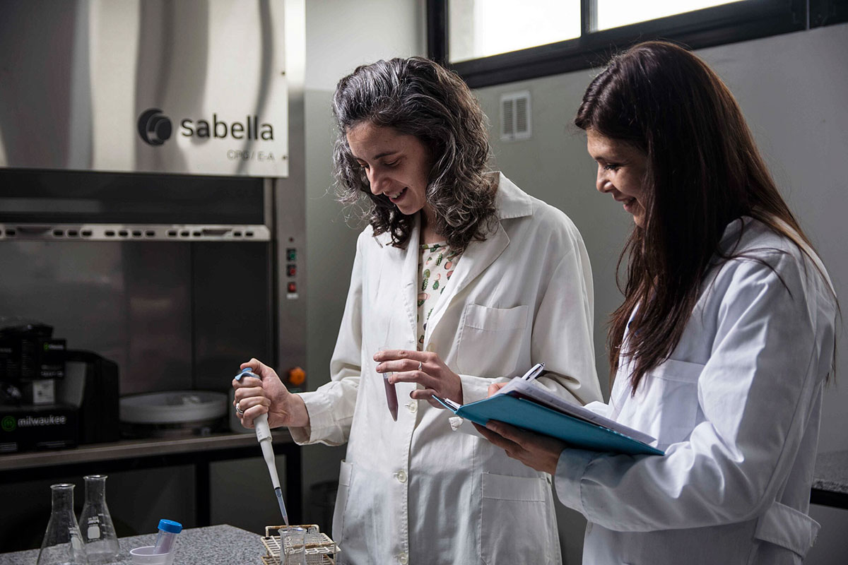 En la Universidad de La Plata desarrollan un queso más sustentable empleando la flor del alcaucil