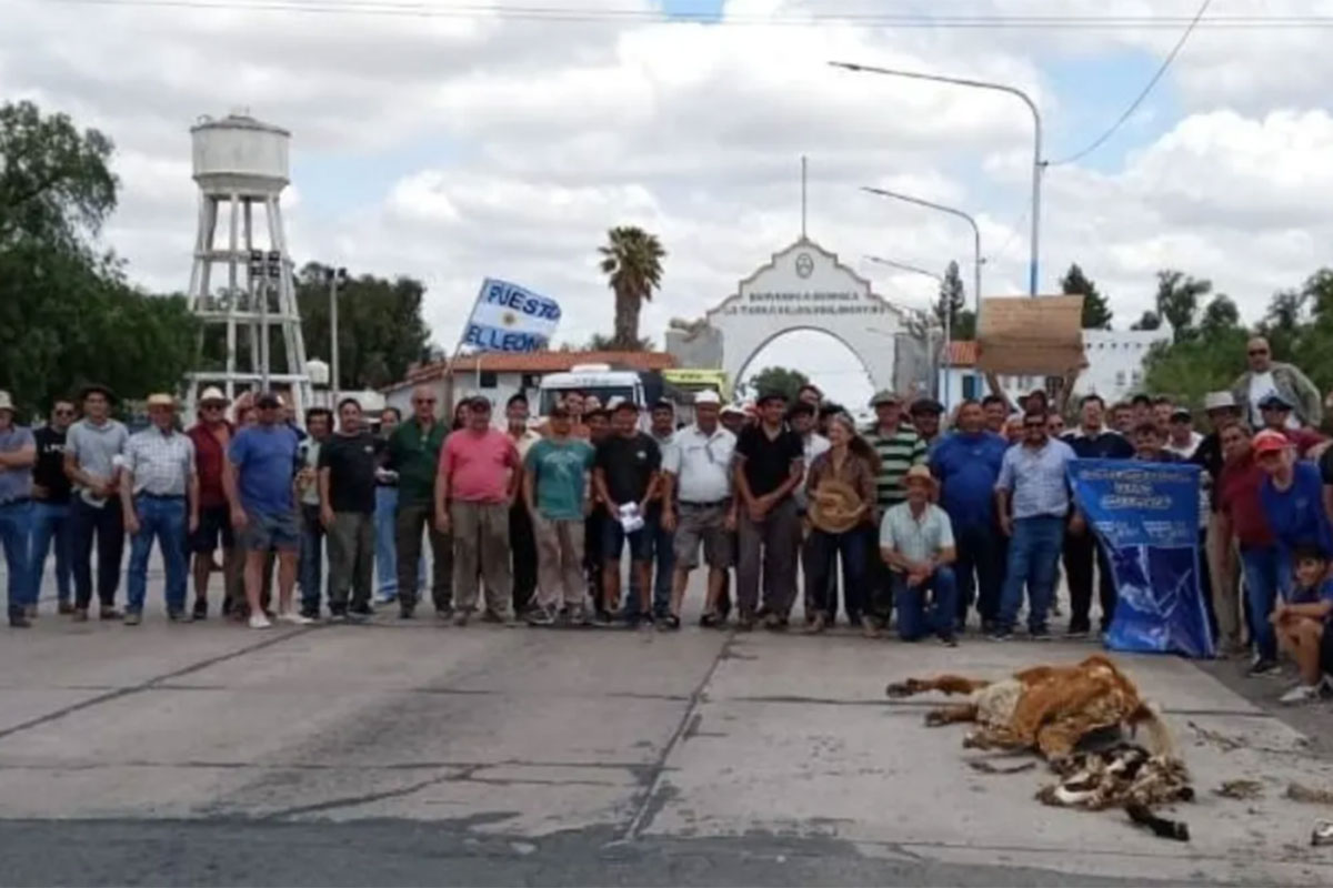 Polémica en Mendoza con la lucha antigranizo de aviones y bengalas: los productores dicen que impide la lluvia