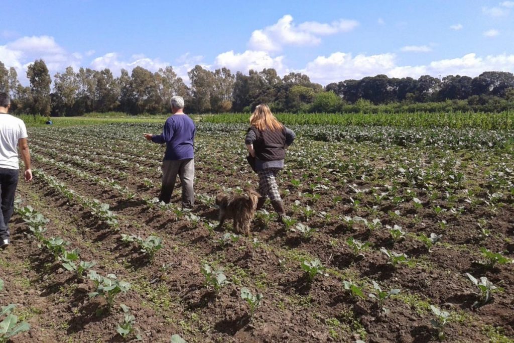 comunidades campesinas