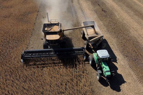 Agro, gas y minería, los sectores que apuntan a zafar del derrumbe