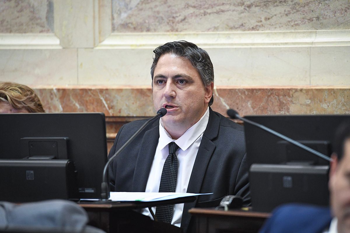 Un senador libertario comparó el triunfo de Milei con «un príncipe que les hizo el amor a todos y los despertó»