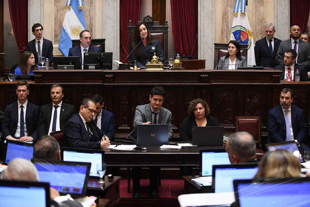 Milei cámara de Senadores