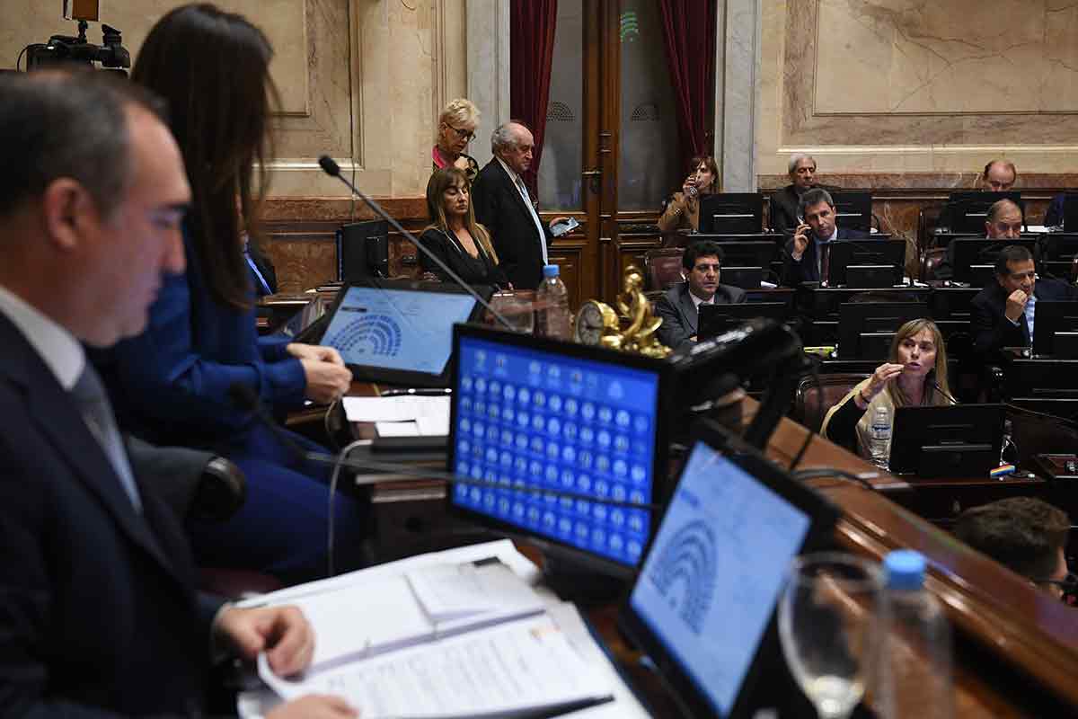 Qué pasó en el Senado con Ganancias, Bienes Personales y Monotributo social