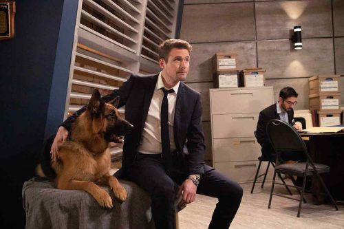 “Hudson & Rex”: un detective y un perro con mucho olfato y pocas pulgas