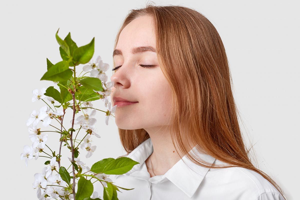 La percepción de los olores y un nuevo modo de entender el procesamiento de información en el cerebro