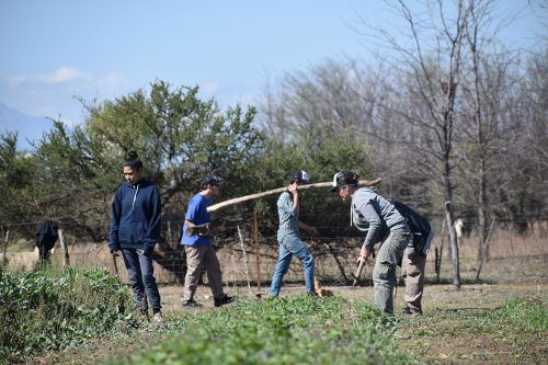 Geo Encuentro: un trabajo agroecológico realizado por personas con discapacidades