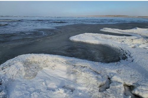 Los secretos del mar congelado en Tierra del Fuego