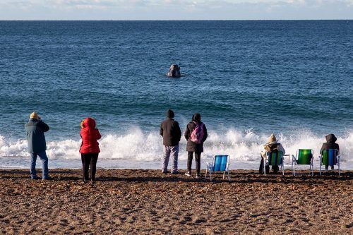 En el fin de semana largo por el Día de la Diversidad, los turistas gastaron 33% menos que en 2023