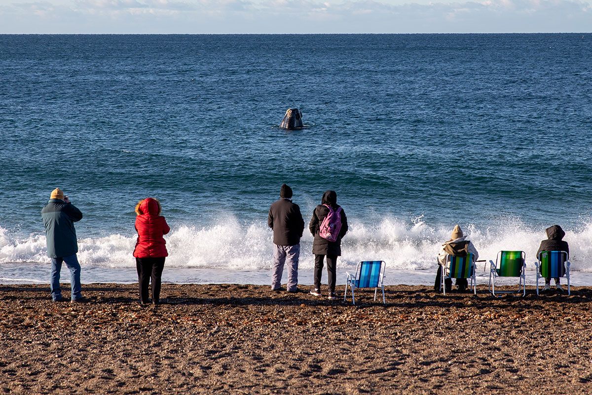 En el fin de semana largo por los feriados del Día de la Diversidad, los turistas gastaron 33% menos que en 2023