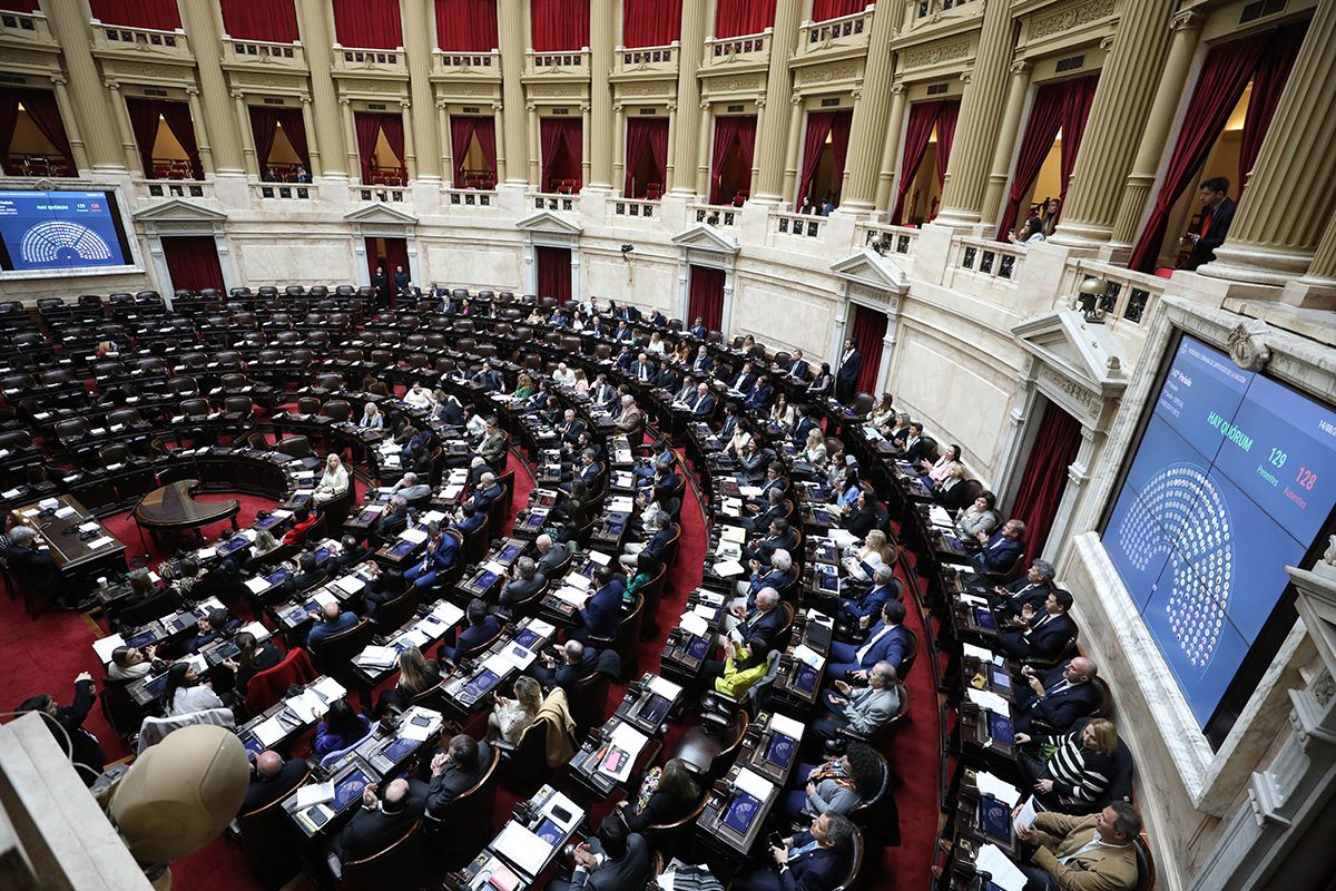 Referentes de DD HH en el Congreso: críticas a Villarruel y a los diputados que visitaron a los represores