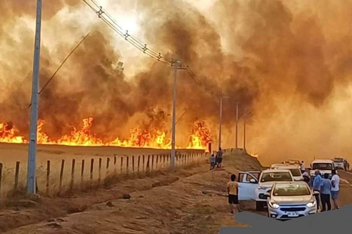 Lula denunció que los incendios de pastizales son intencionales y San Pablo declaró la emergencia