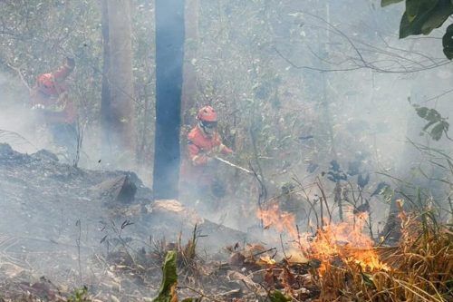 La Corte Suprema de Brasil autoriza presupuesto extra para combatir los feroces incendios