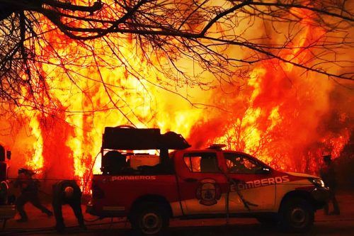 “La Sociedad Rural culpa al bosque nativo por los incendios”