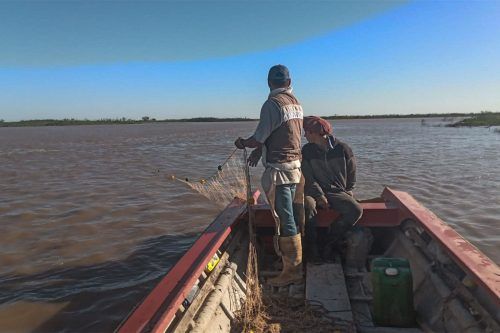 El drama a la vera del río Paraná: Victoria se queda sin agua y la pesca está en crisis