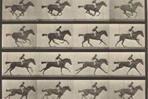 “Here comes the [horse]”: el sol y los caballos detrás del origen del cine