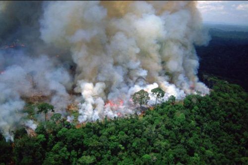 Alerta en 15 provincias por el humo, que ya llegó al AMBA