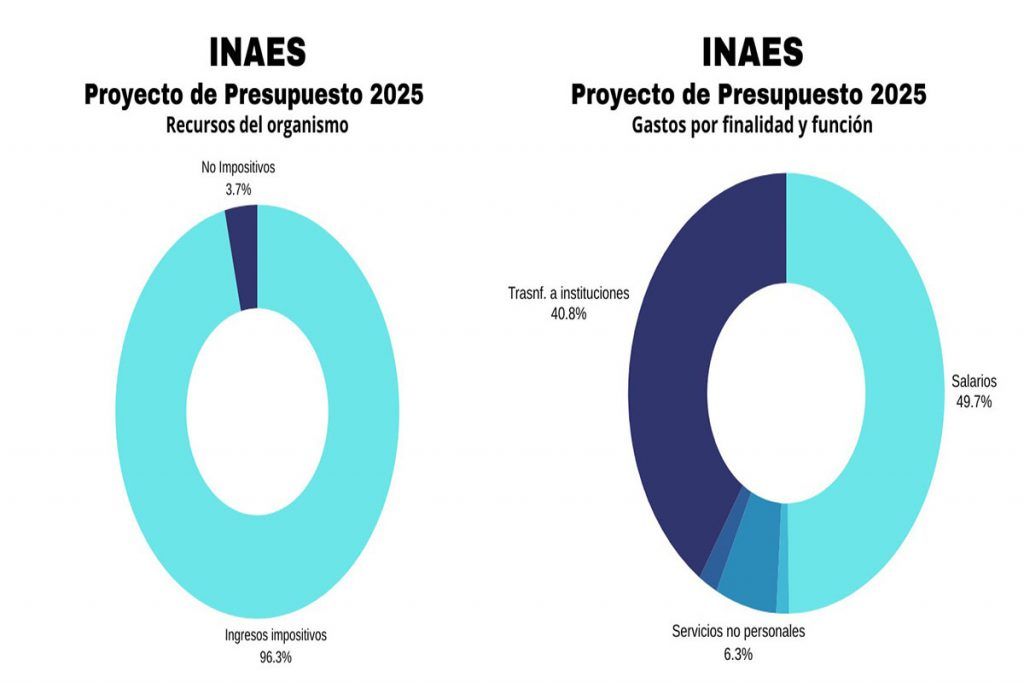 inaes