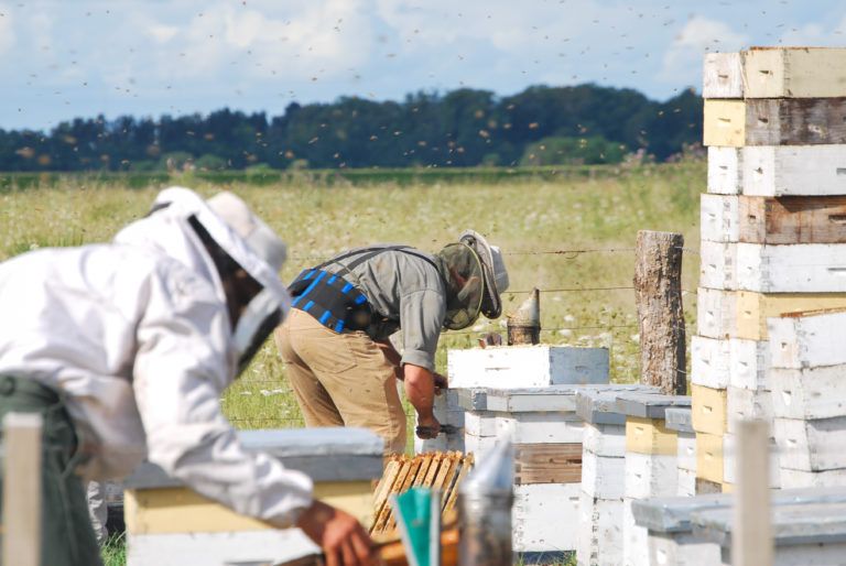 Se profundiza el abandono de productores y hay ola de despidos en el programa Cambio Rural