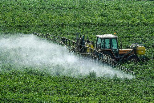 La Pampa: ¿la salud de la población o el agronegocio?