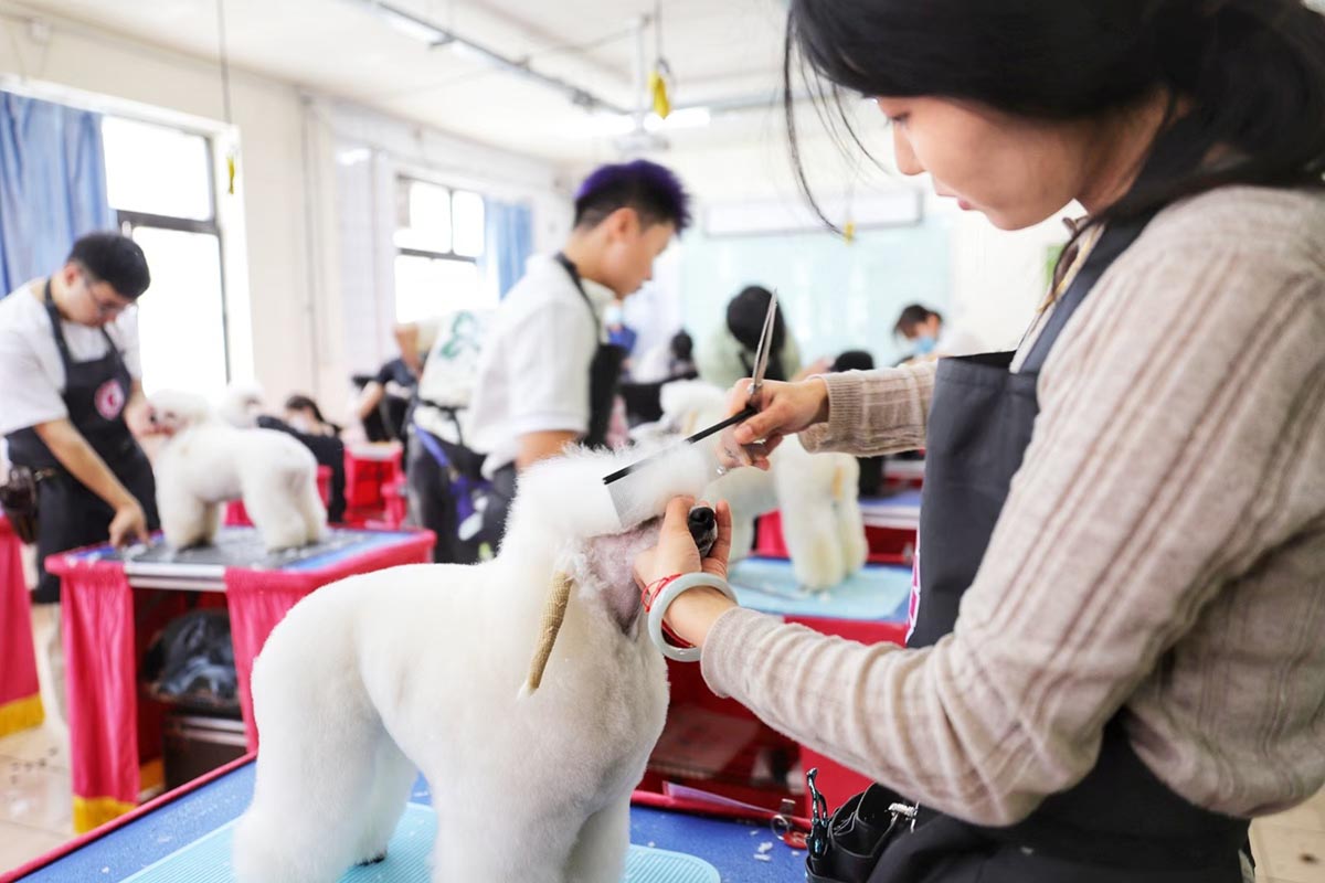 Perro que ladra, economía que crece