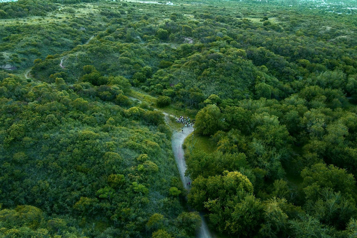 Denuncian que la eliminación del Fondo Fiduciario para Bosques Nativos «es inconstitucional»