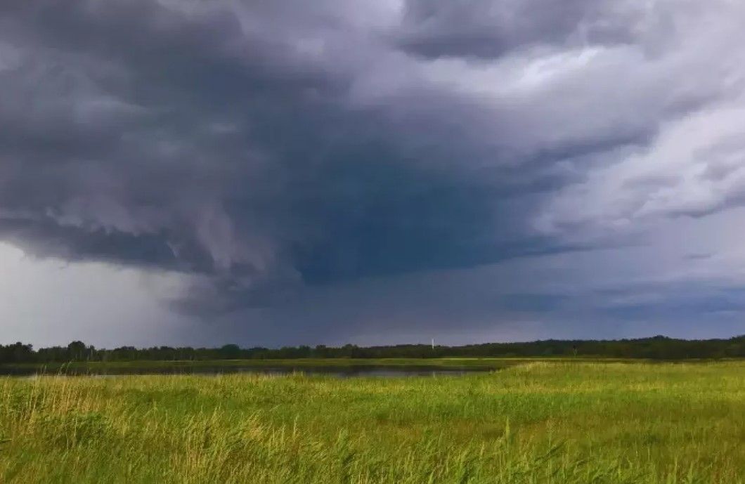 La lluvia trajo alivio: se reactivaron las siembras y mejoraron las perspectivas de los productores