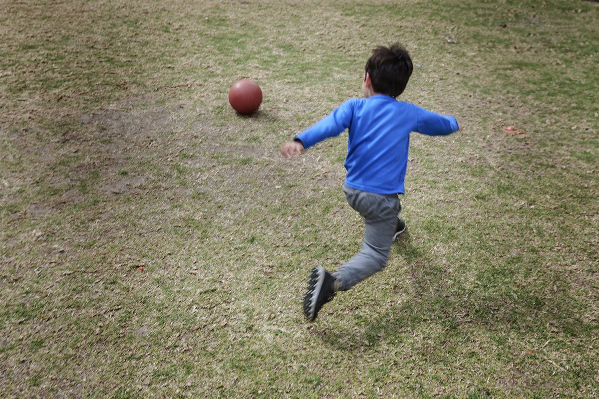 Ventanas a un mundo poco visibilizado: el de niñas, niños y adolescentes que viven en hogares