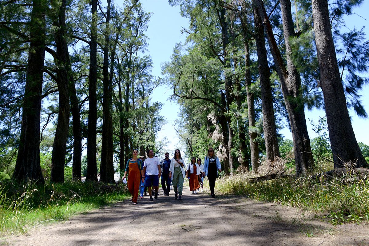 Cazón: el pueblo del millón de árboles y el vivero más grande del territorio bonaerense