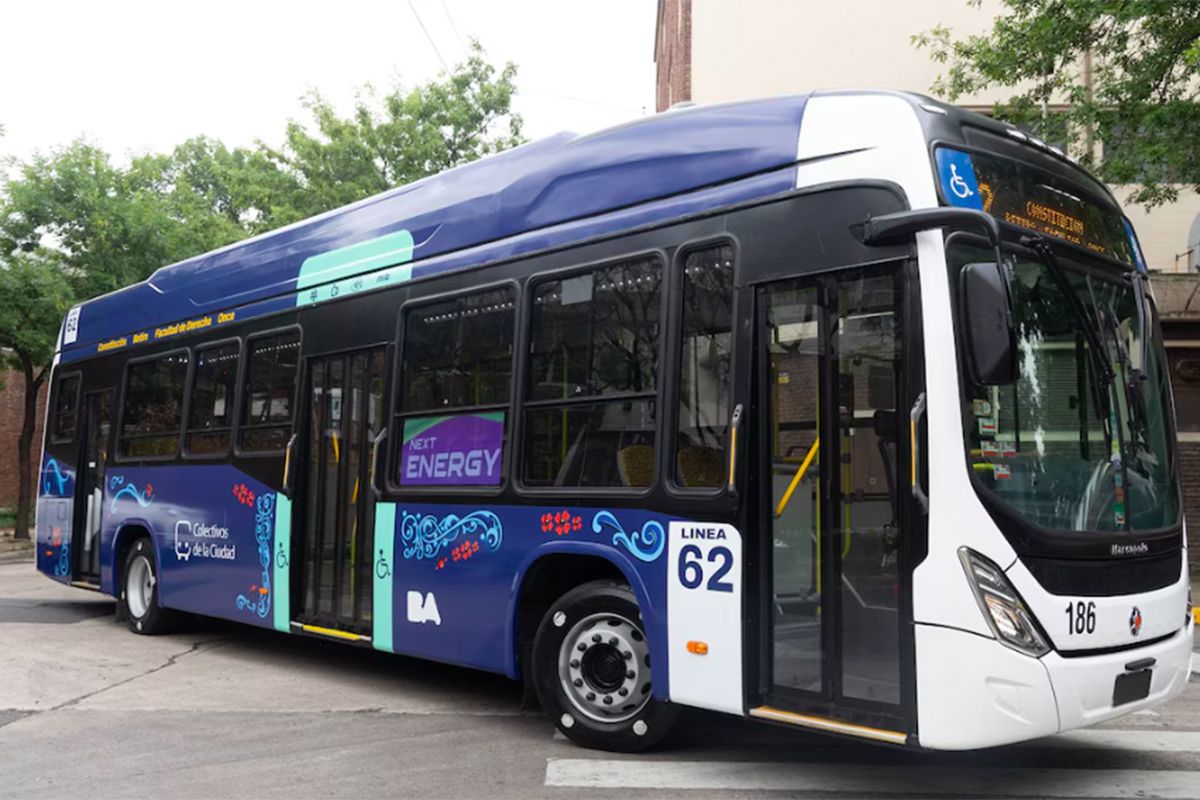 El fin de los colectivos de colores en la Ciudad de Buenos Aires: por qué ahora serán todos azules