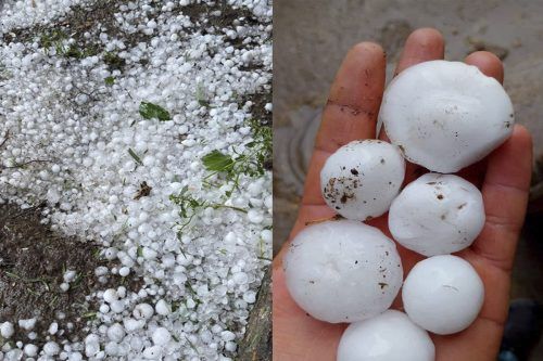 La tormenta de granizo en Mendoza expone los efectos de un Estado que decidió ajustar y dejar de combatirlo