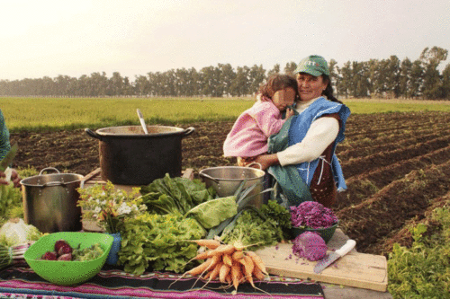 El vaciamiento avanza para la agricultura familiar, campesina e indígena