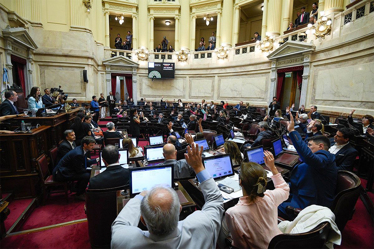 El Senado debate la suspensión de las PASO