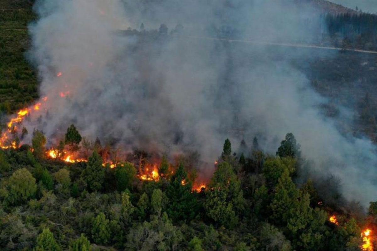 El incendio en el Parque Nacional Nahuel Huapi lleva más de 40 días activo 