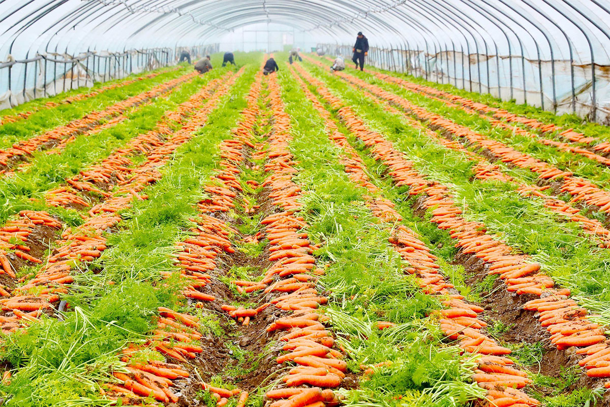 El país granero del mundo duplicó la importación de alimentos en sólo seis meses