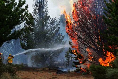 Incendios en Bariloche: el fuego no se detiene y algunas familias empiezan a autoevacuarse